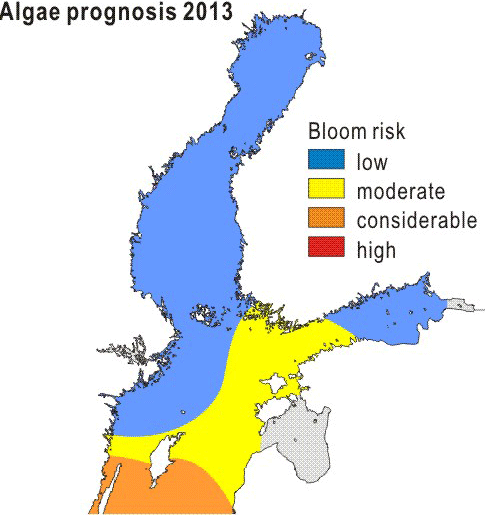 Algea prognosis